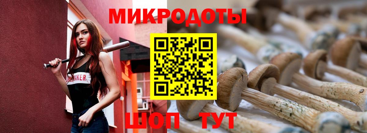 Псилоцибиновые грибы ЛСД Арсеньев