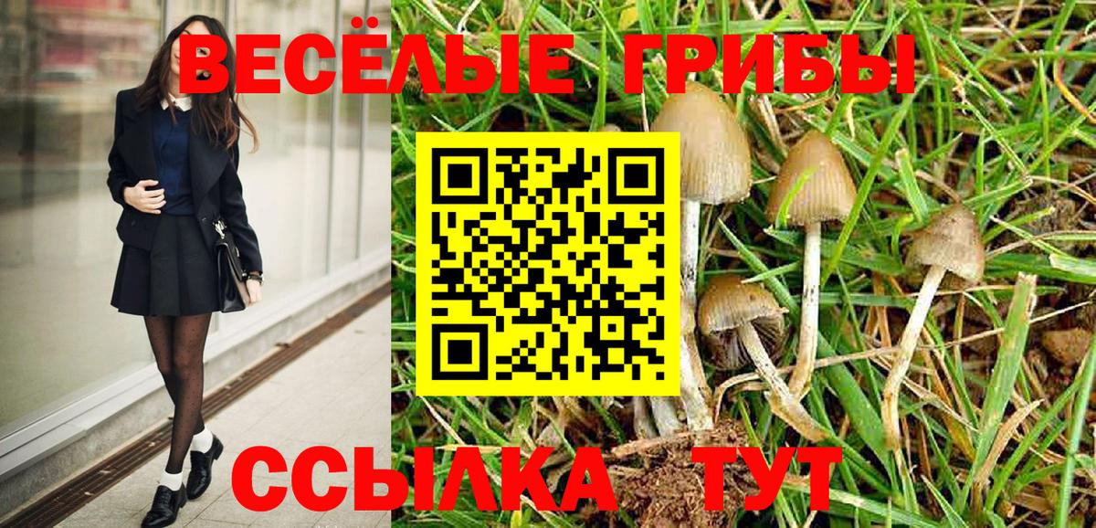 Галлюциногенные грибы Cubensis  Псилоцибиновые грибы MAGIC MUSHROOMS  Арсеньев  что такое   Вход с VPN 